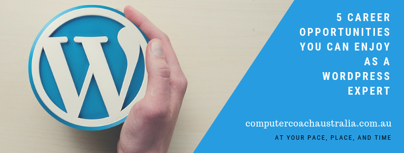 Wordpress Expert